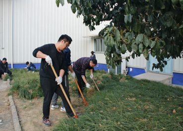 情暖三月雷鋒日，栽種綠植添春光